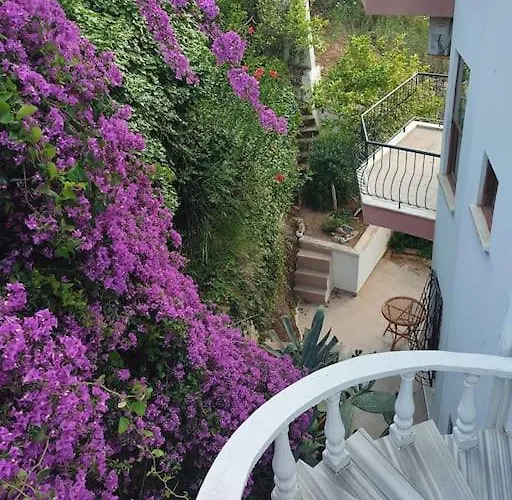 Villa On The Historic Castle Hill